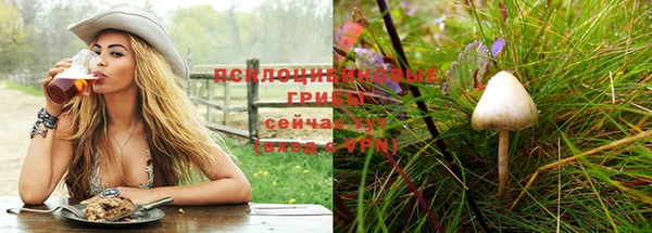 СК Аркадак